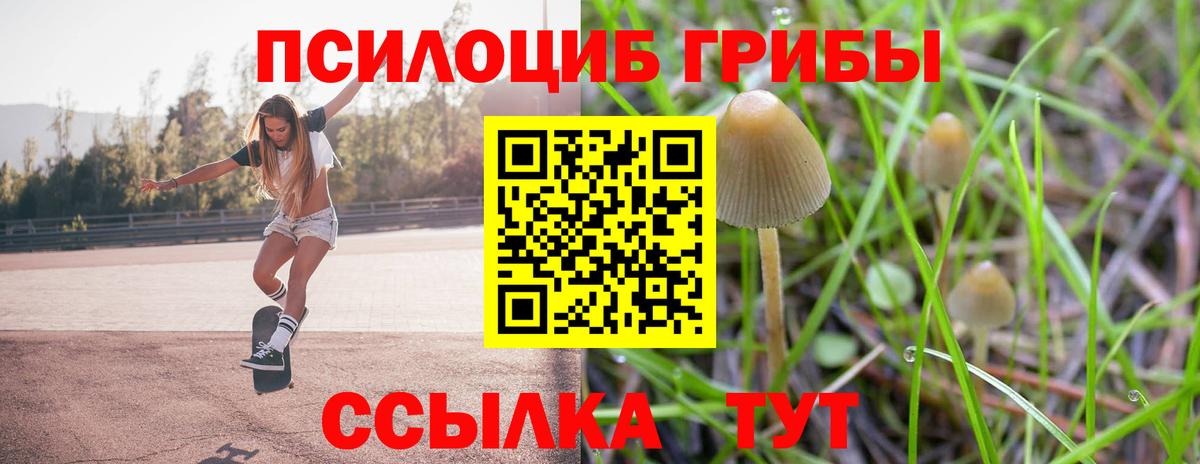 Саранск  Галлюциногенные грибы GOLDEN TEACHER  Галлюциногенные грибы ЛСД  Вход с VPN 